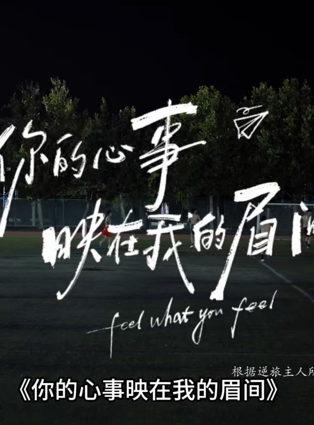 你的心事映在我的眉间——决战食神免费观看完整版